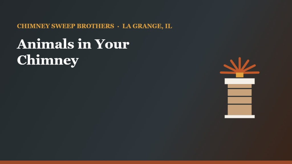 Animals in Your Chimney: Prevention and Safe Removal — Chimney Sweep Brothers, La Grange IL